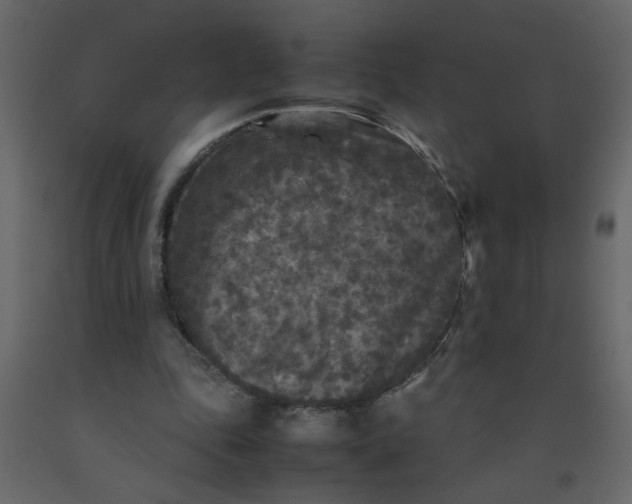 X0000092210343200710051141