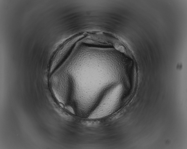 X0000092210345200710051141