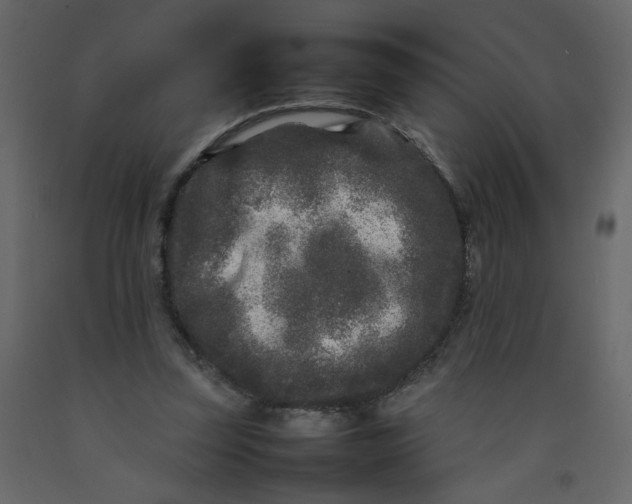 X0000092210347200710051141