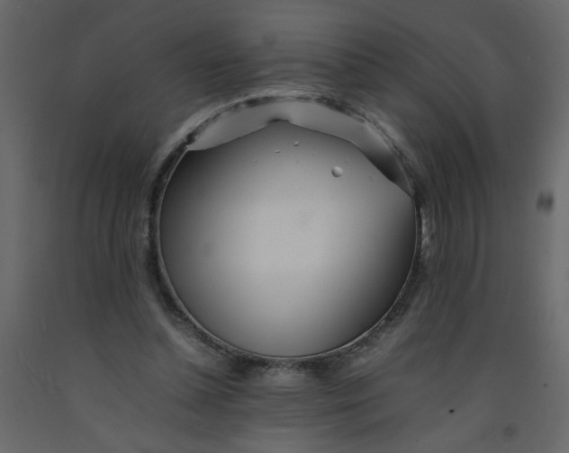 X0000092210348200710051141