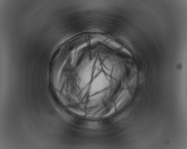 X0000092210349200710051141