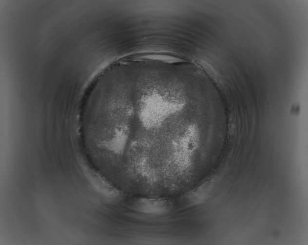 X0000092210351200710051141