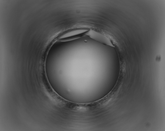 X0000092210352200710051141