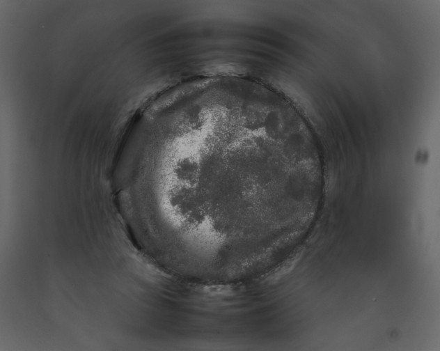 X0000092210353200710051141