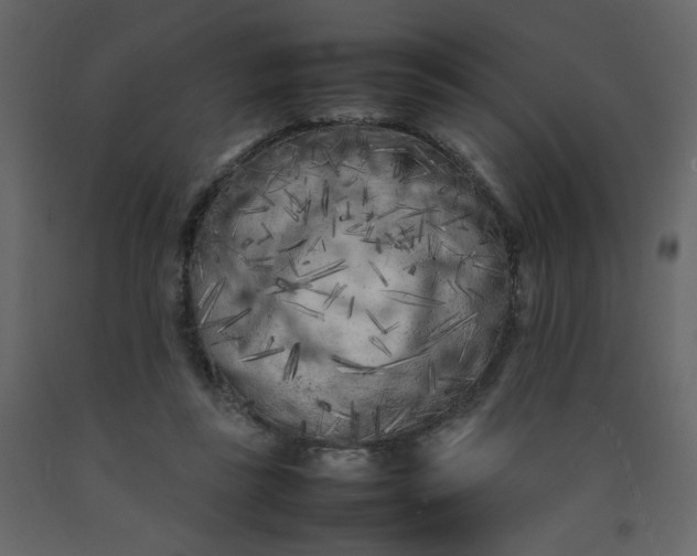 X0000092210355200710051141