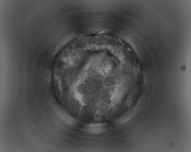 X0000092210357200710051141