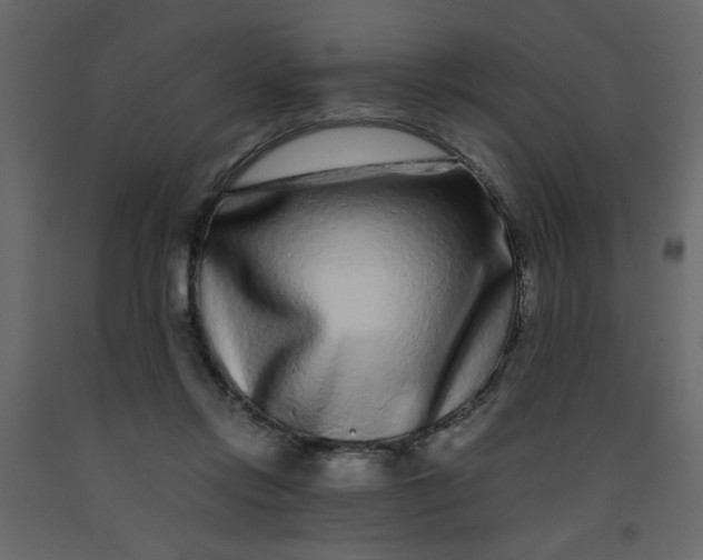 X0000092210358200710051141