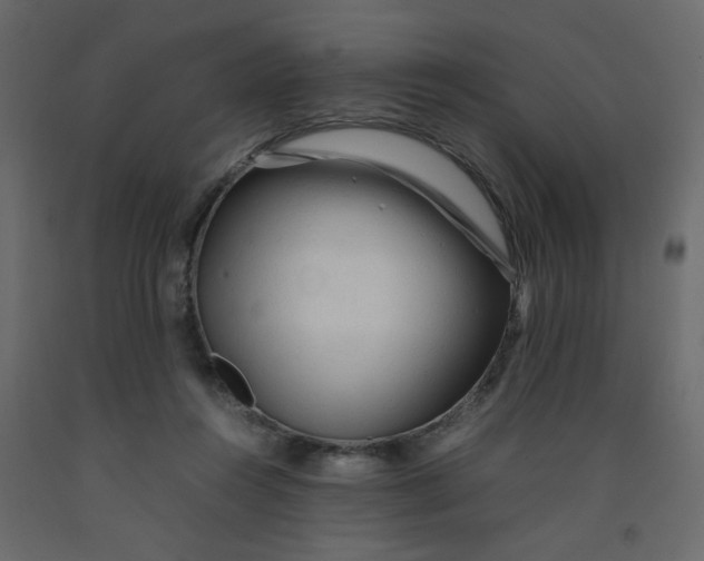 X0000092210360200710051141