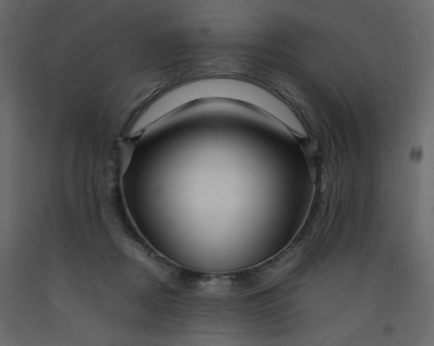 X0000092210362200710051142