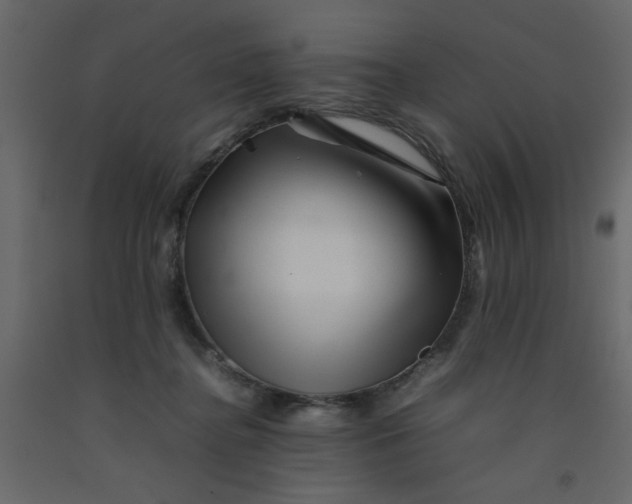 X0000092210364200710051142