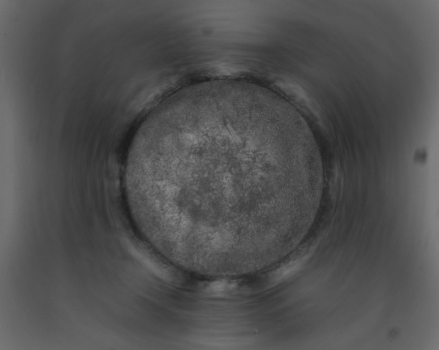 X0000092210366200710051142