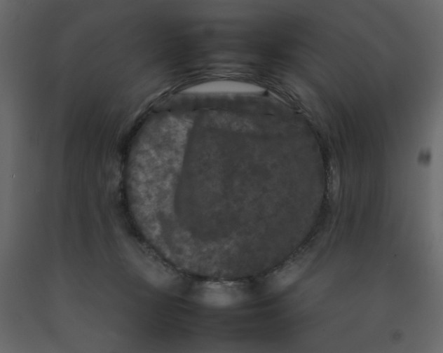 X0000092210367200710051142