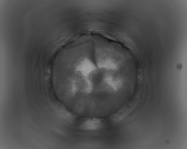 X0000092210369200710051142