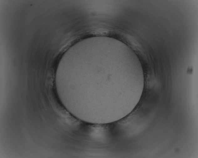 X0000092210370200710051142