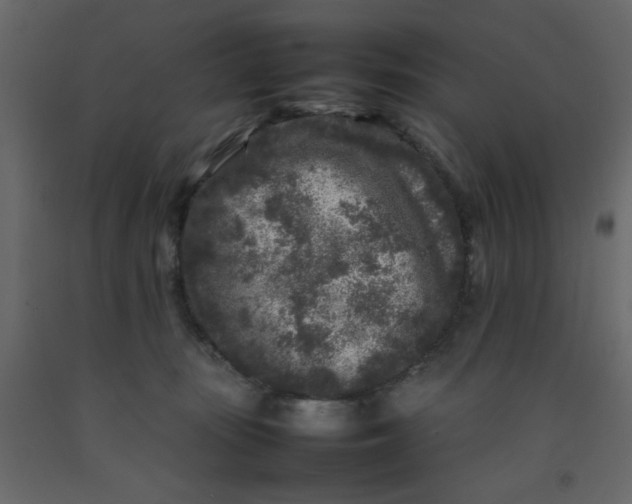 X0000092210371200710051142