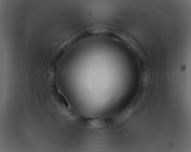 X0000092210372200710051142