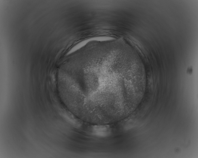 X0000092210373200710051142