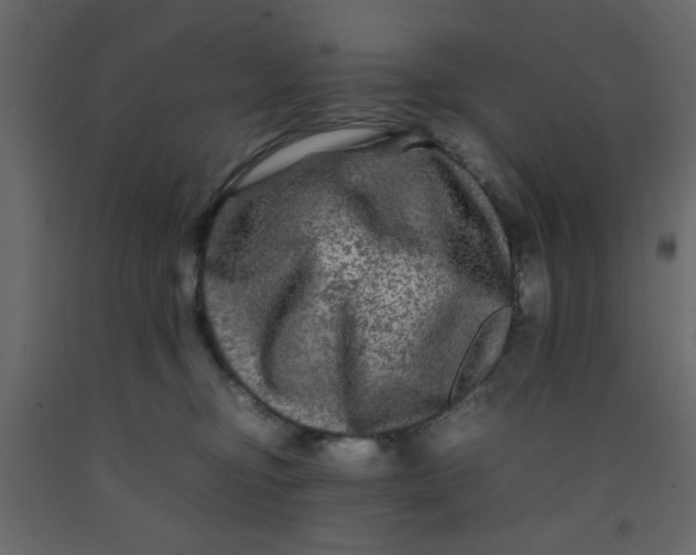 X0000092210374200710051142