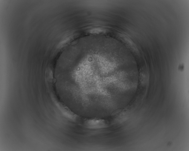 X0000092210375200710051142