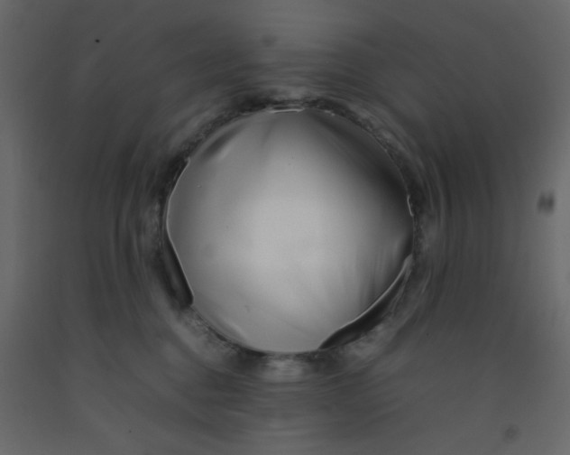 X0000092210376200710051142