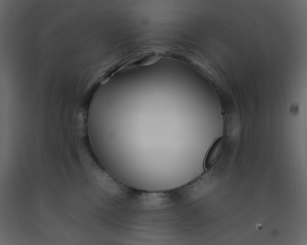 X0000092210378200710051142