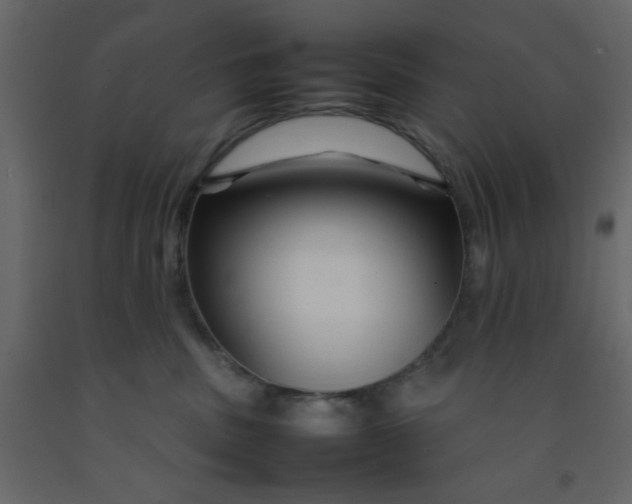 X0000092210379200710051142