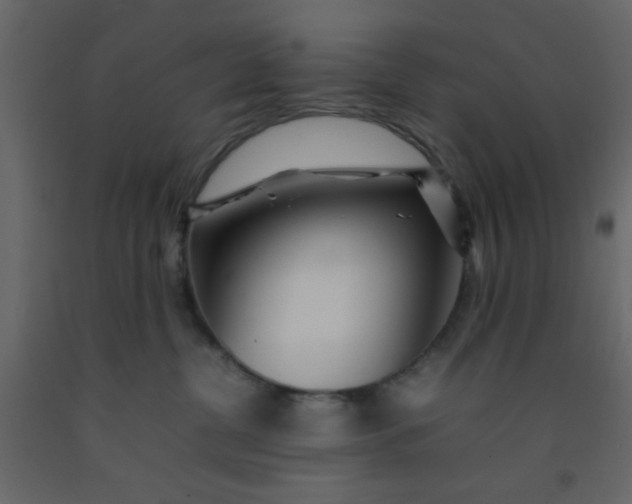 X0000092210380200710051142