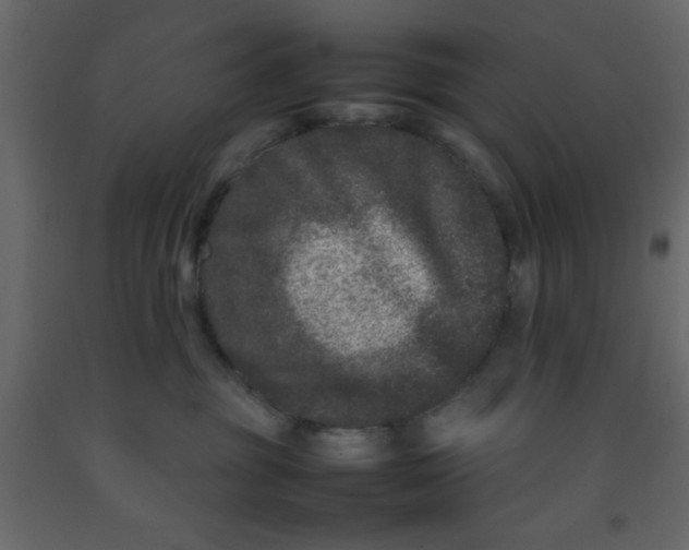 X0000092210381200710051142