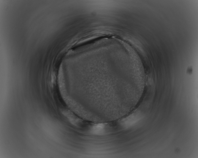 X0000092210382200710051142
