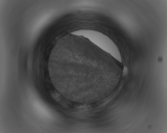 X0000092210383200710051142