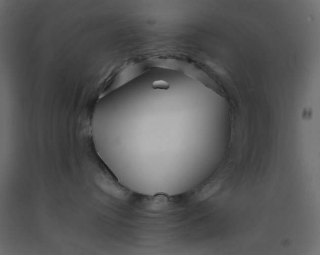 X0000092210384200710051142