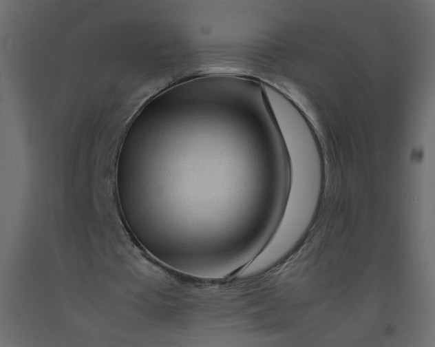 X0000092210385200710051141