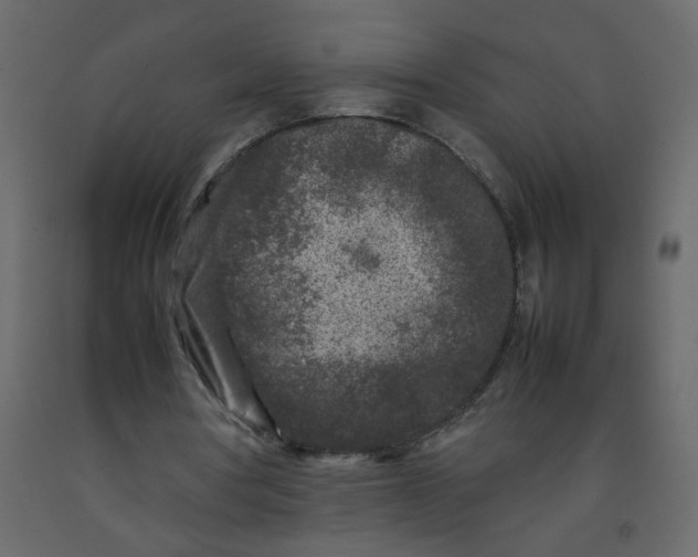 X0000092210386200710051141