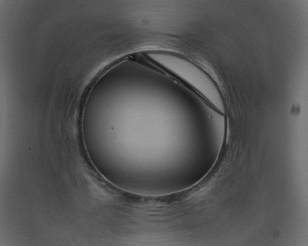 X0000092210387200710051141