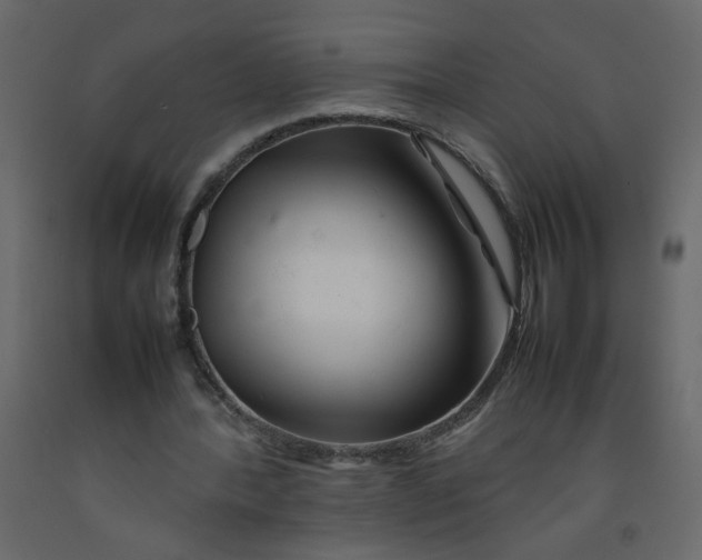 X0000092210388200710051141