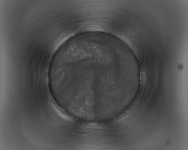 X0000092210390200710051141