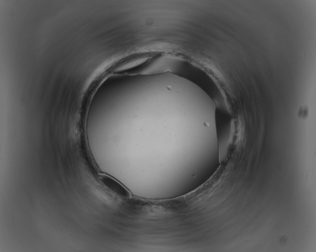 X0000092210392200710051141