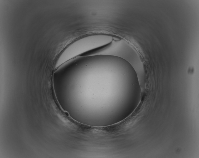 X0000092210393200710051141