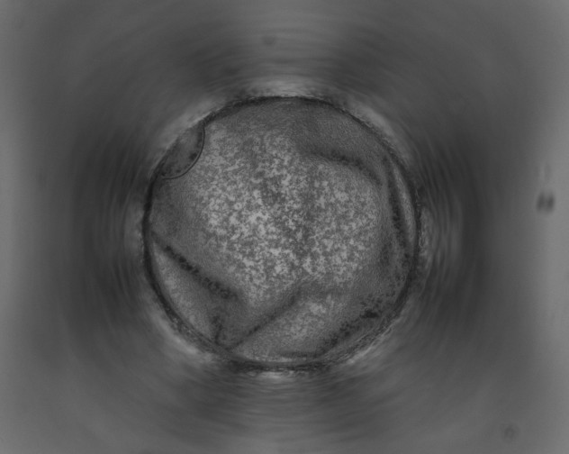 X0000092210394200710051141