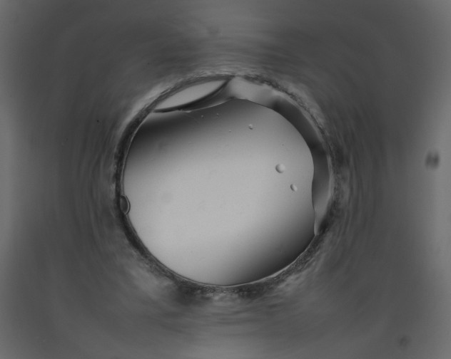 X0000092210395200710051141