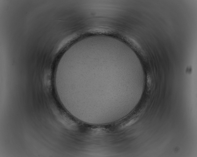 X0000092210396200710051141