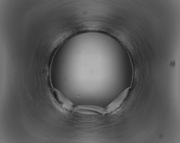 X0000092210397200710051141