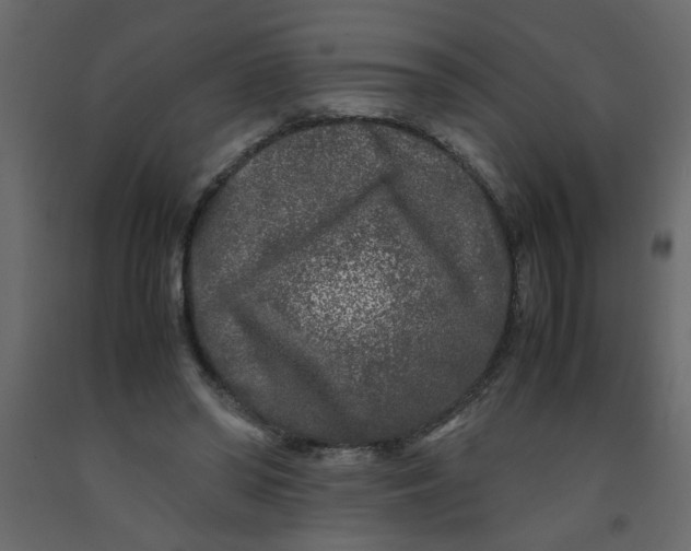 X0000092210398200710051141