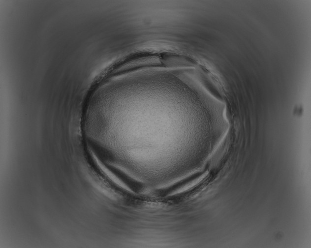 X0000092210399200710051141