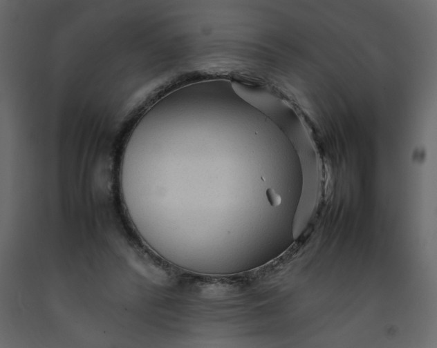 X0000092210400200710051141