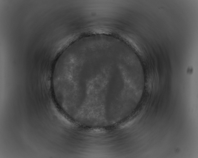 X0000092210402200710051141