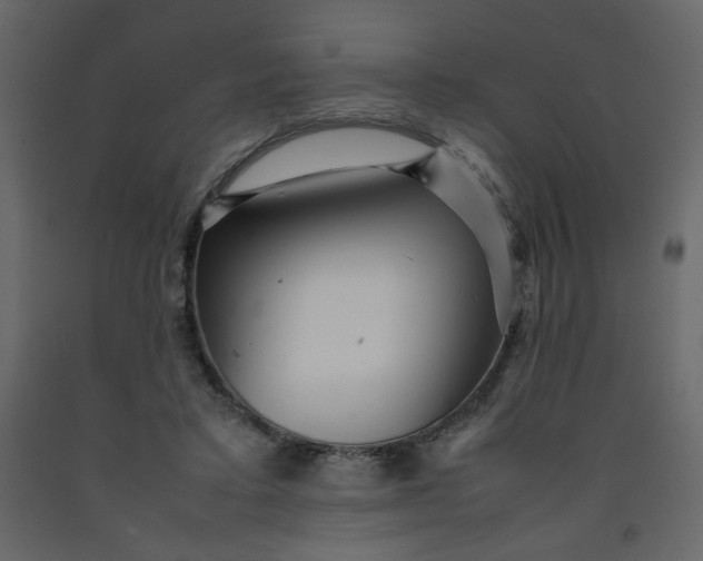 X0000092210403200710051141