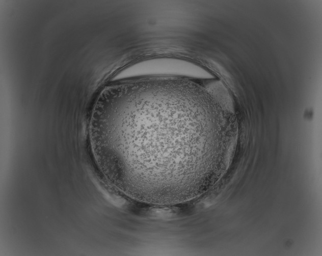 X0000092210405200710051141