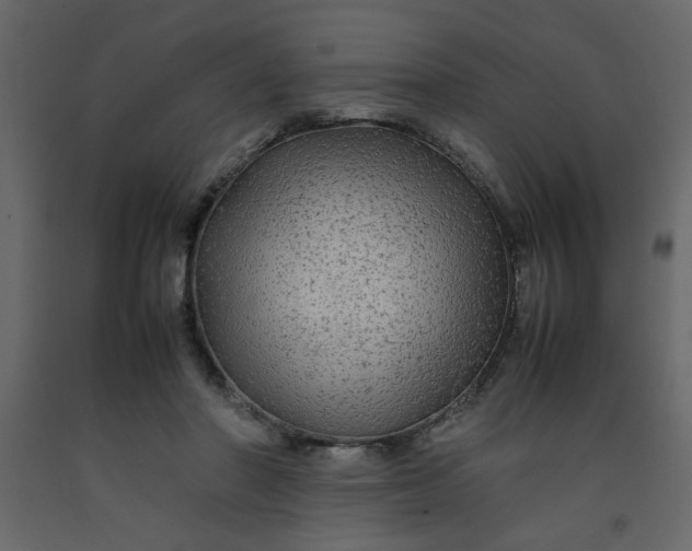 X0000092210406200710051141