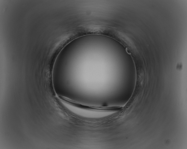 X0000092210407200710051141